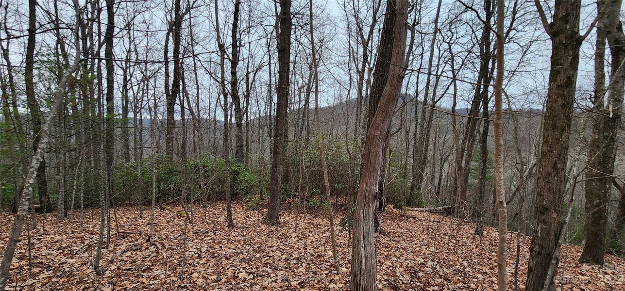 Image 17 of a home in .