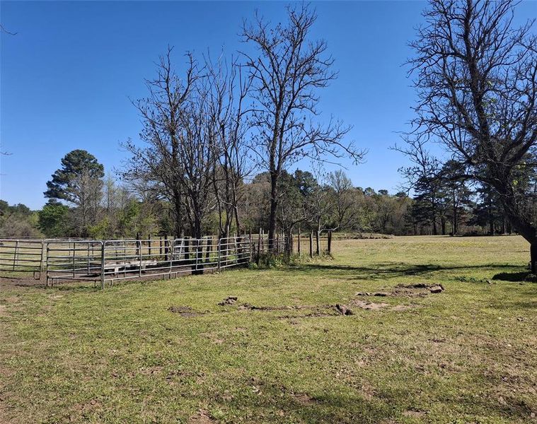 Natural landscape and outdoor views near  in Jacksonville (Image 9).
