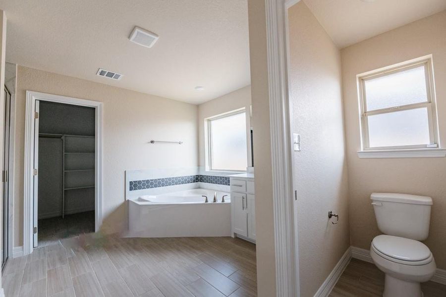 Full bath with a bath, wood tiled floors, a spacious closet, and vanity Full bath with a bath, wood tiled floors, a spacious closet, and vanity