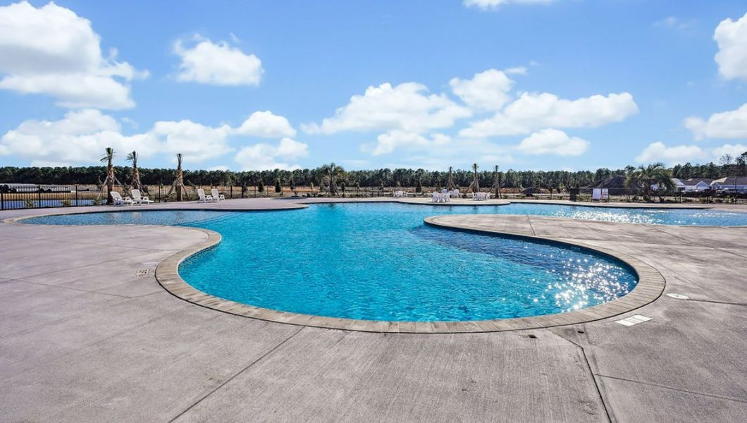 Community amenities in Sidbury Station, Castle Hayne (Image 45). Community amenities in Sidbury Station, Castle Hayne (Image 45).