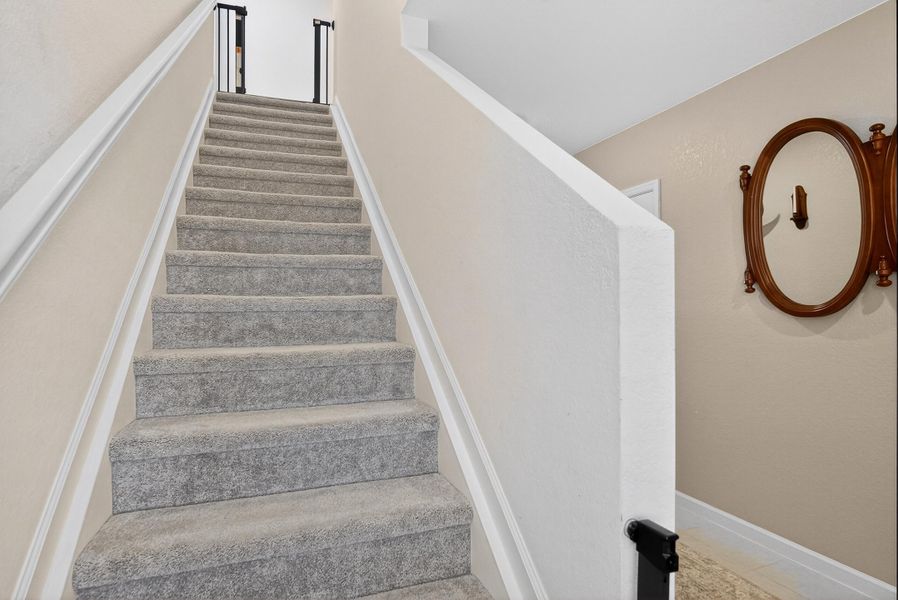 034_Photo Feb 21 2026, 2 17 51 PM