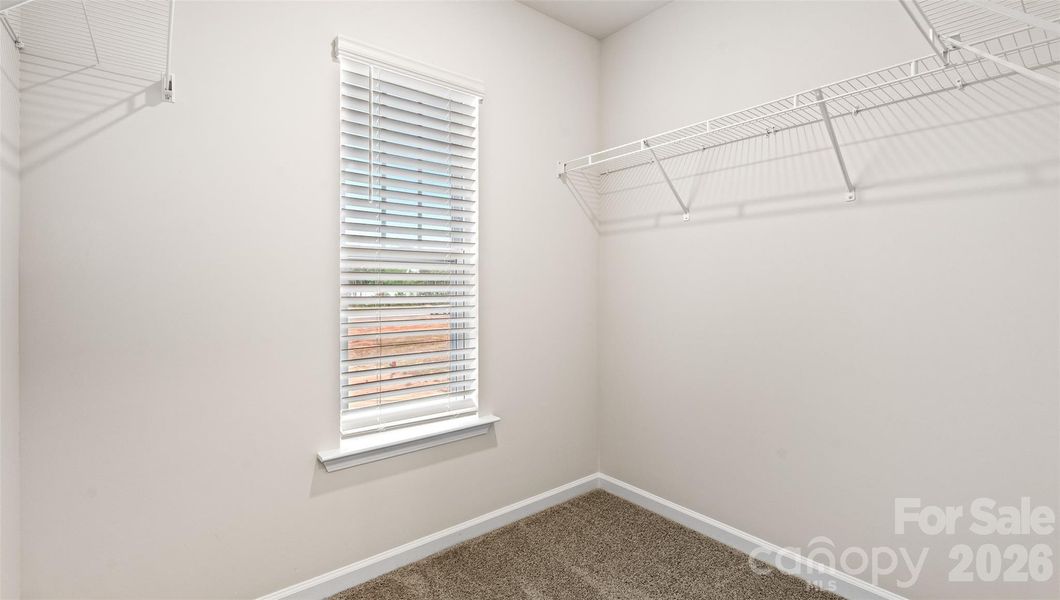 Photos are representative