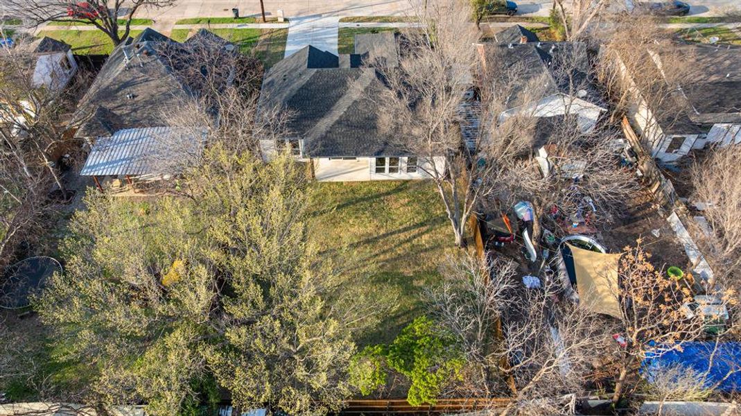 Natural landscape and outdoor views near  in Dallas (Image 26).