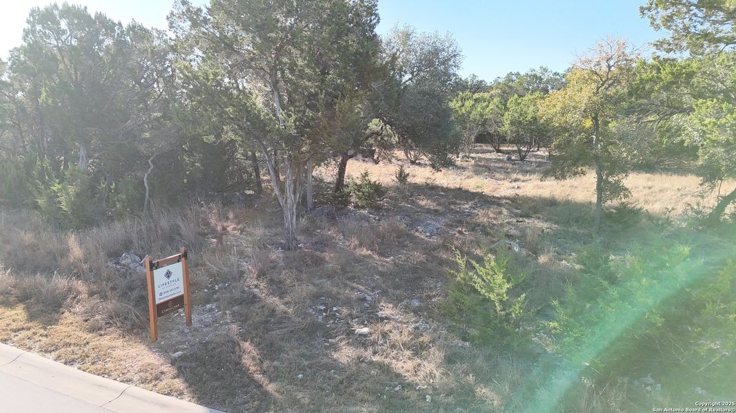 Natural landscape and outdoor views near  in San Antonio (Image 3).