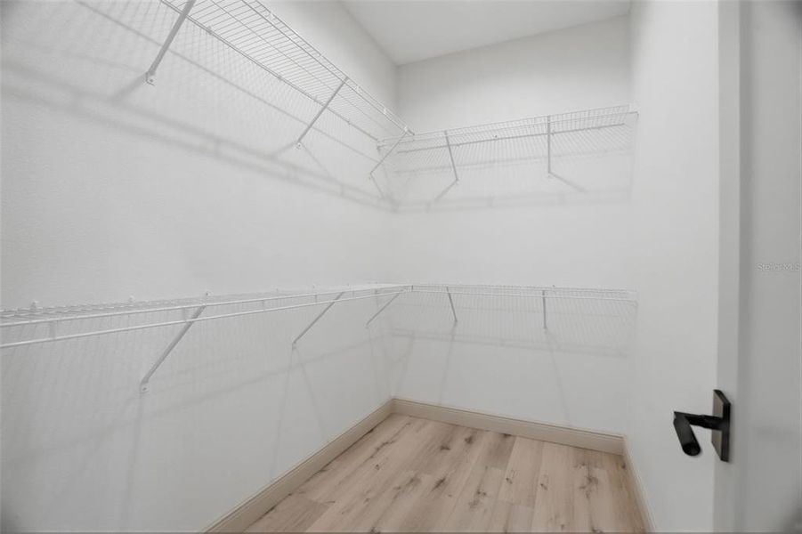 Spacious, unfurnished interior of a new home in , Tampa (Image 25).