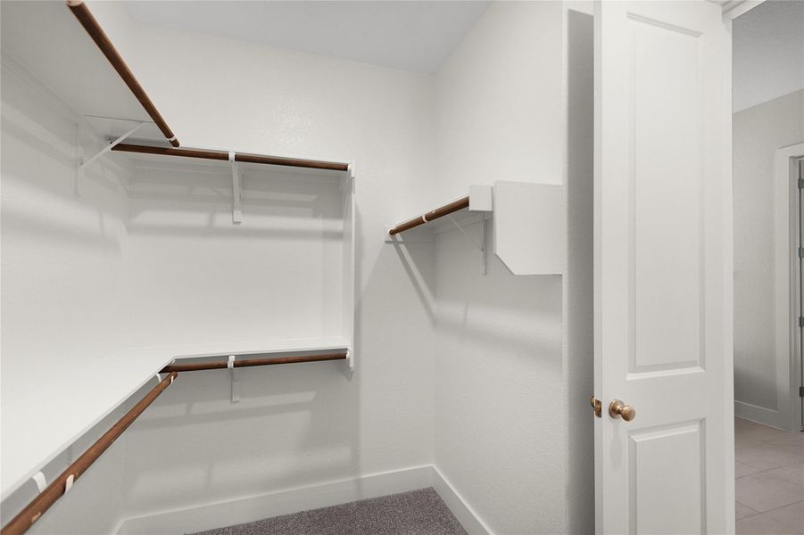 *REPRESENTATIVE PHOTO*