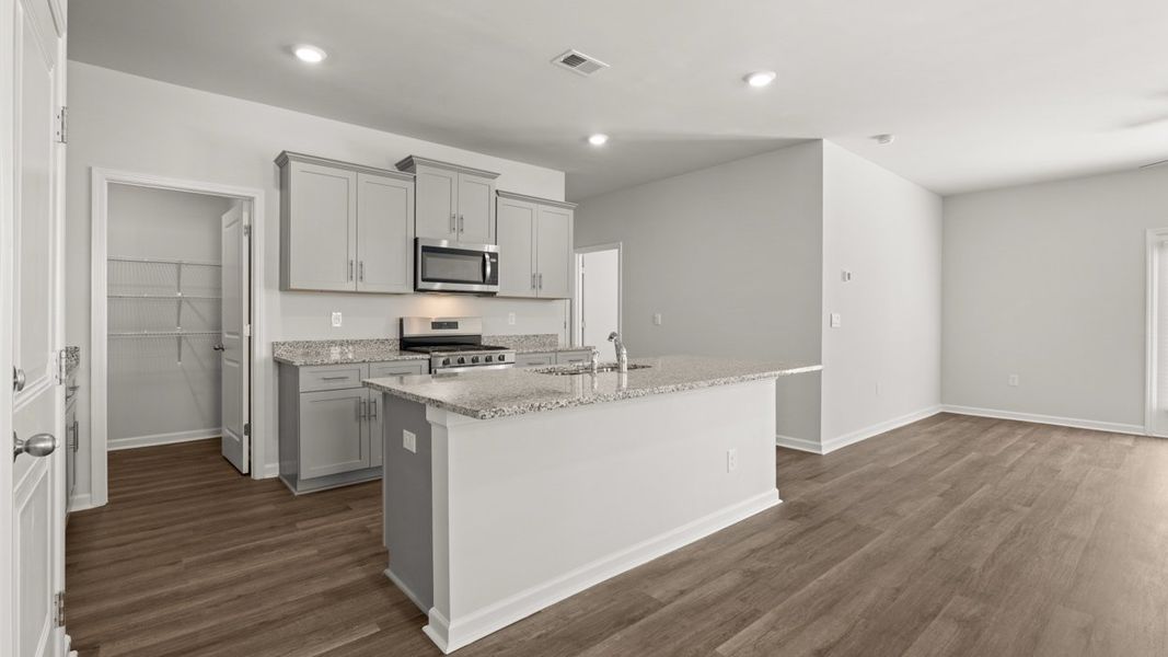 Furnished interior view inside a new home in The Islands, Beech Island (Image 3). Furnished interior view inside a new home in The Islands, Beech Island (Image 3).