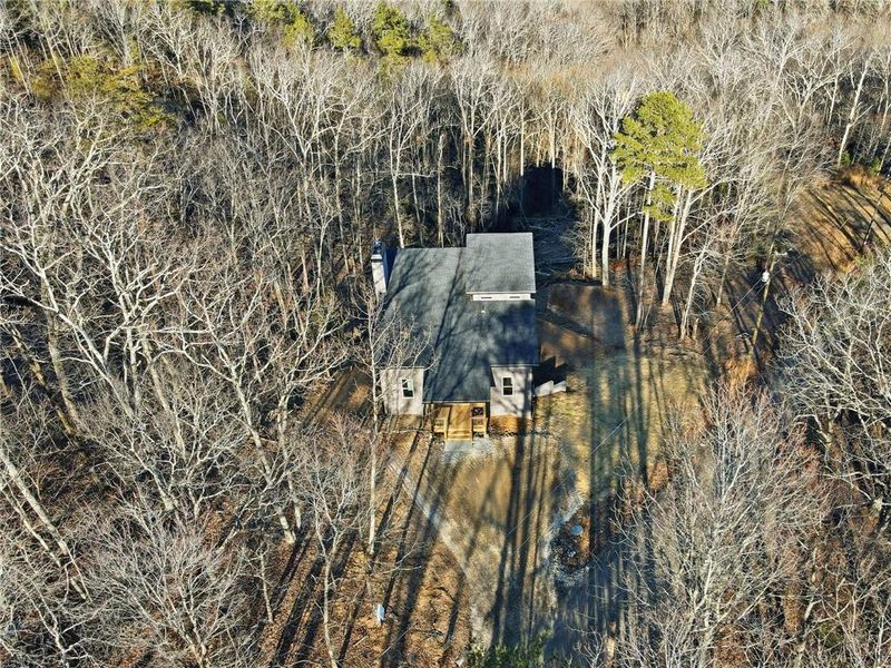 Natural landscape and outdoor views near  in Ranger (Image 49).