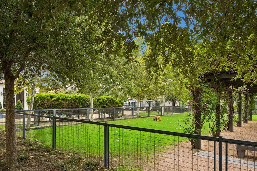 Oversized community dog park shaded by mature trees and a wisteria-covered pergola.