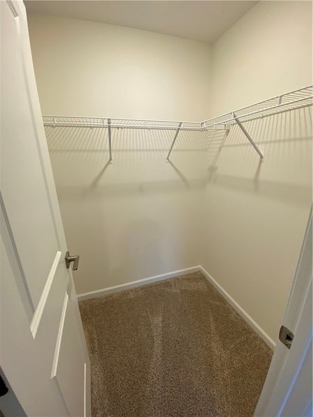 Spacious, unfurnished interior of a new home in Springwood Grove, Central (Image 22).