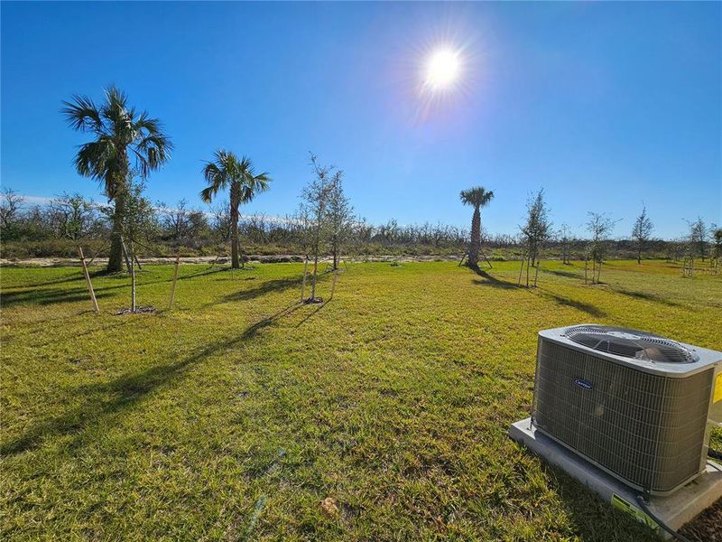 Backyard View