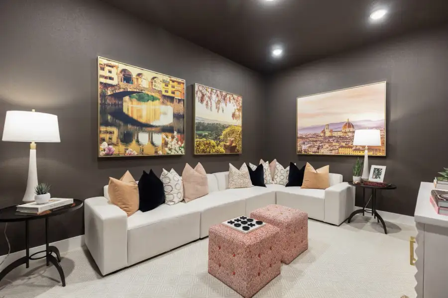 Representative Entertainment Room - some options shown