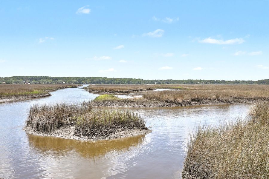 Natural landscape and outdoor views near  in Johns Island (Image 48).