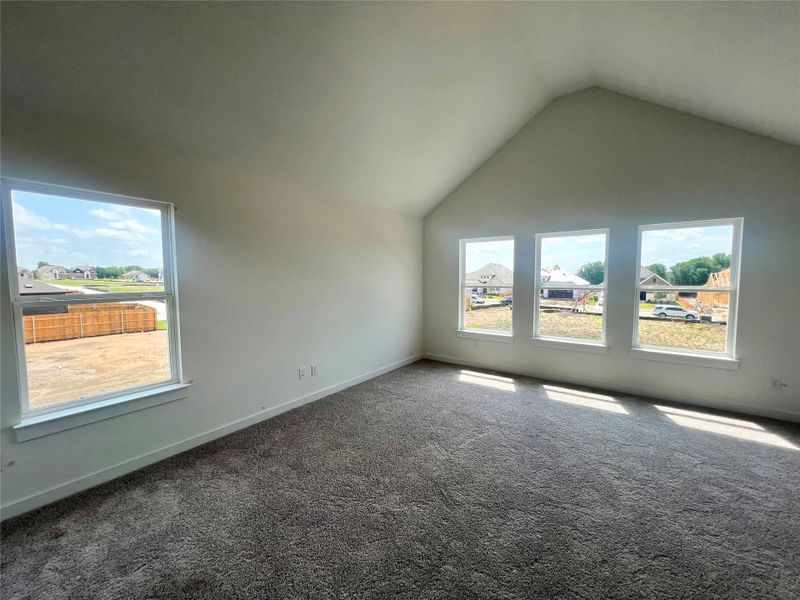 Additional living space with carpet flooring and lofted ceiling