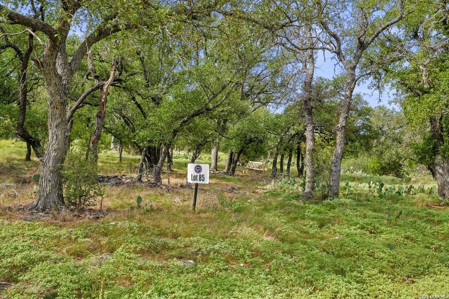 Natural landscape and outdoor views near in Fredericksburg (Image 6). Natural landscape and outdoor views near in Fredericksburg (Image 6).