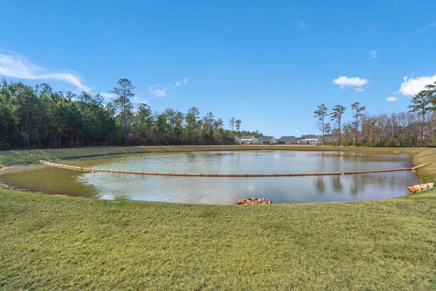 Natural landscape and outdoor views near Jasmine Point at Lakes of Cane Bay in Summerville (Image 31).