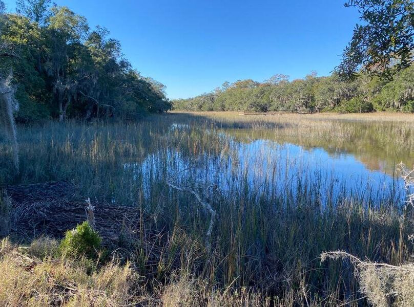 Natural landscape and outdoor views near  in Yonges Island (Image 29).