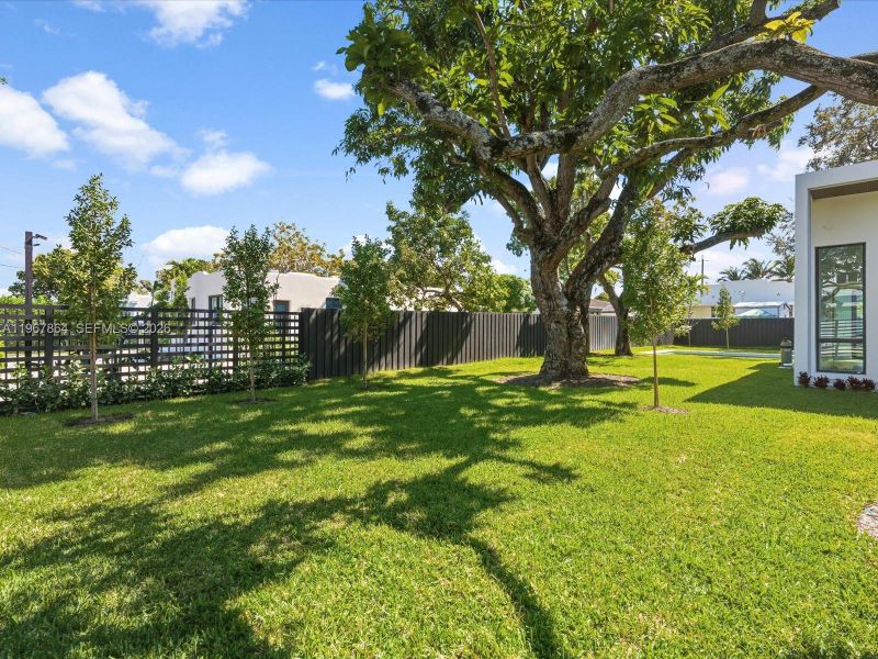 Natural landscape and outdoor views near  in Miami (Image 56).
