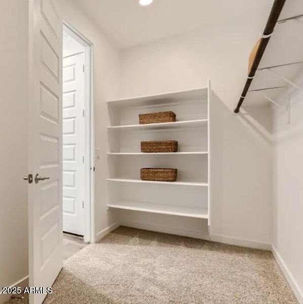 Owners Walk in Closet