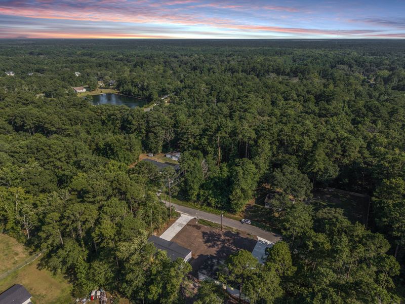 Natural landscape and outdoor views near in Ravenel (Image 30). Natural landscape and outdoor views near in Ravenel (Image 30).