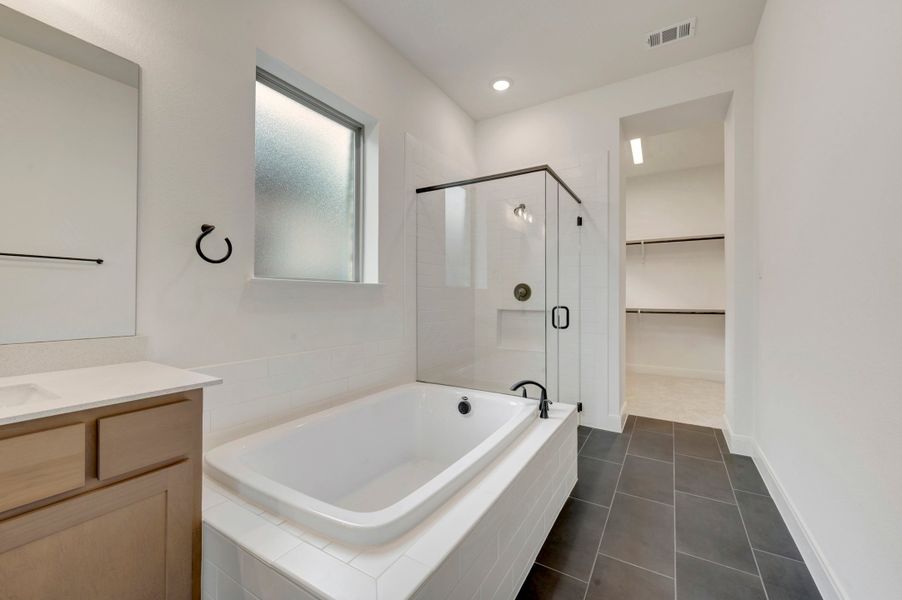 Owner's Bath