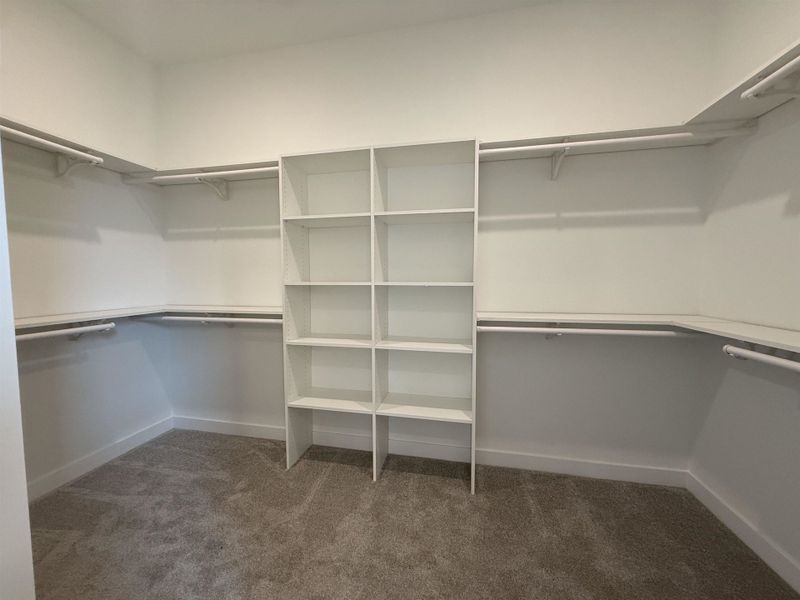 Walk-in closet with built-in shelving, white walls, white baseboards, and neutral-toned carpet