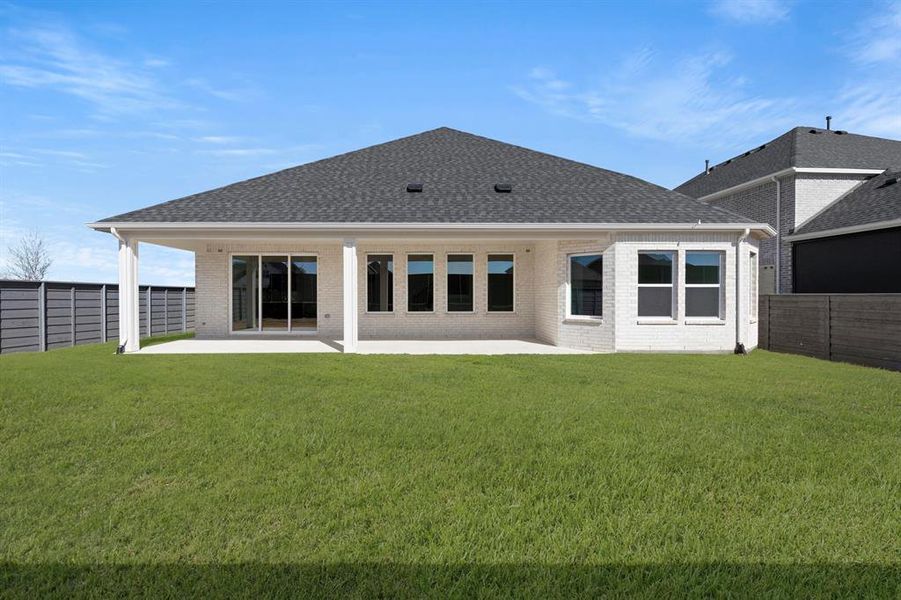 26. 500 Blue Yucca - Back