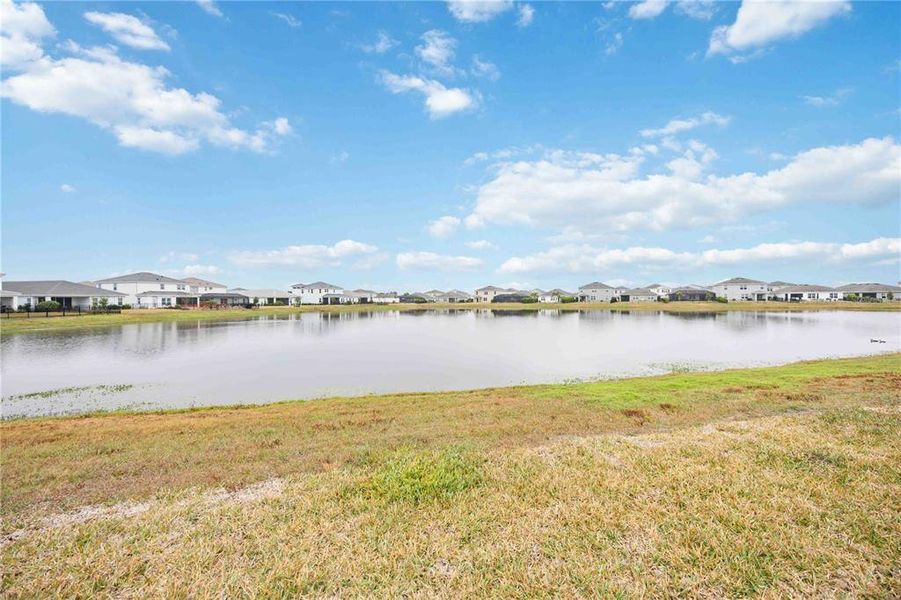 Natural landscape and outdoor views near in Lakewood Ranch (Image 70). Natural landscape and outdoor views near in Lakewood Ranch (Image 70).