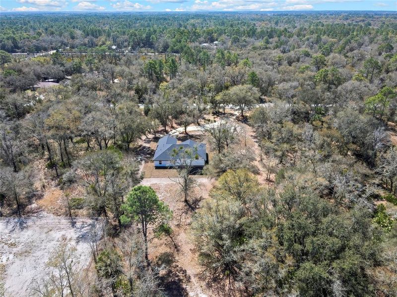 Natural landscape and outdoor views near  in Crystal River (Image 53).