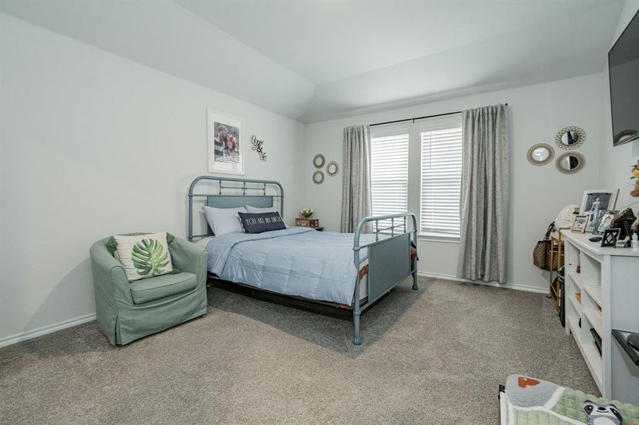 Carpeted bedroom with vaulted ceiling and baseboards