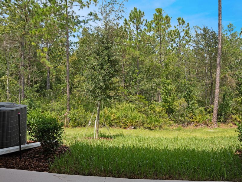 Natural landscape and outdoor views near RiverTown in St. Johns (Image 9).