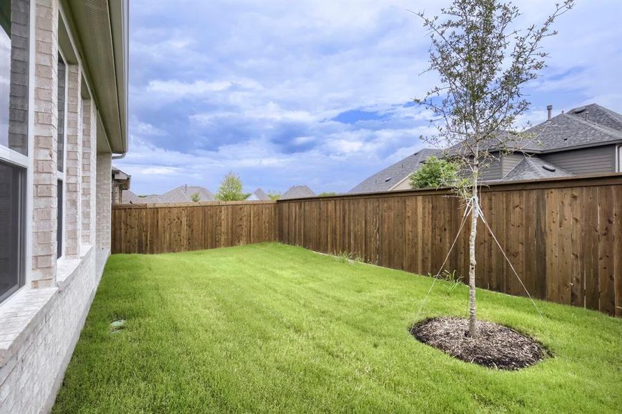 Expansive green lawn featuring a young tree with a mulched base