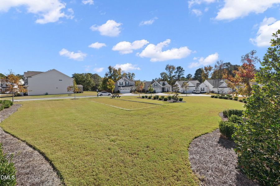 56-2501 Friars Head _9541