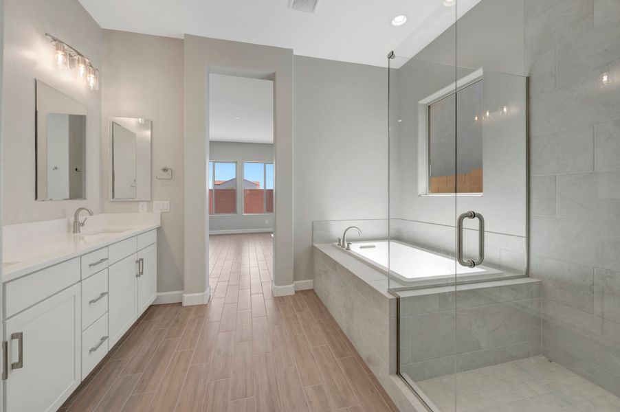 Owner's Bath