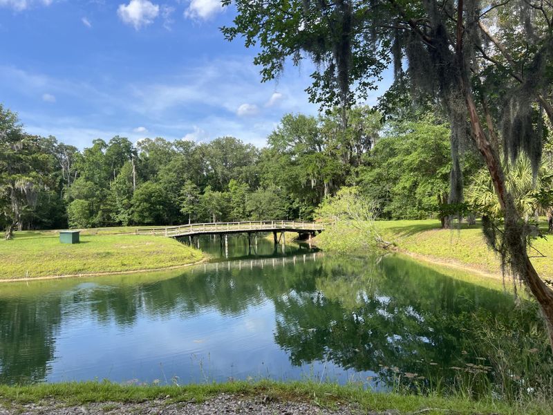 Natural landscape and outdoor views near in Seabrook (Image 87). Natural landscape and outdoor views near in Seabrook (Image 87).