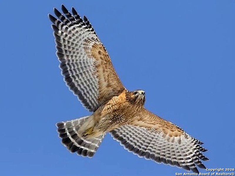 Image 59 of a home in .