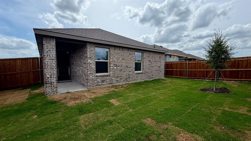 Expansive backyard featuring a manicured lawn, full privacy fencing, and a newly planted tree