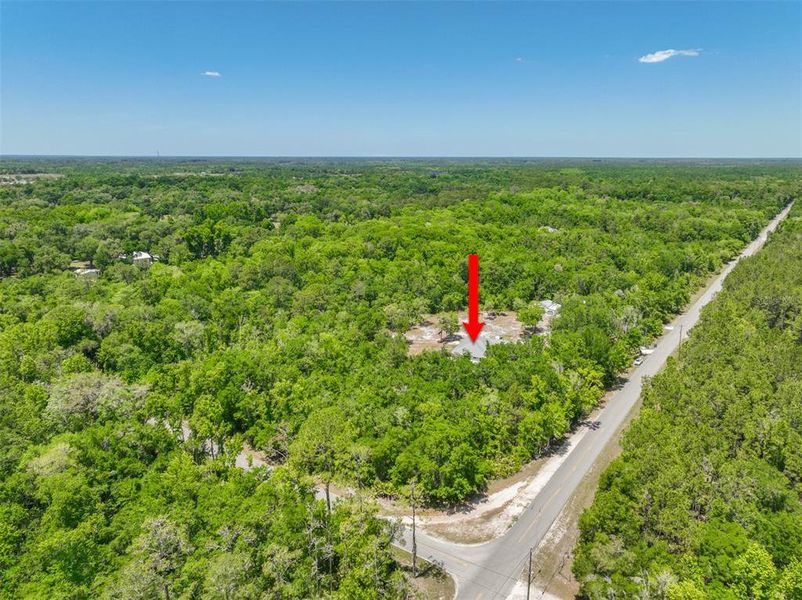 Natural landscape and outdoor views near  in Pierson (Image 42).