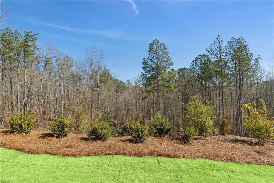 Natural landscape and outdoor views near Grandview Terrace in Canton (Image 16).