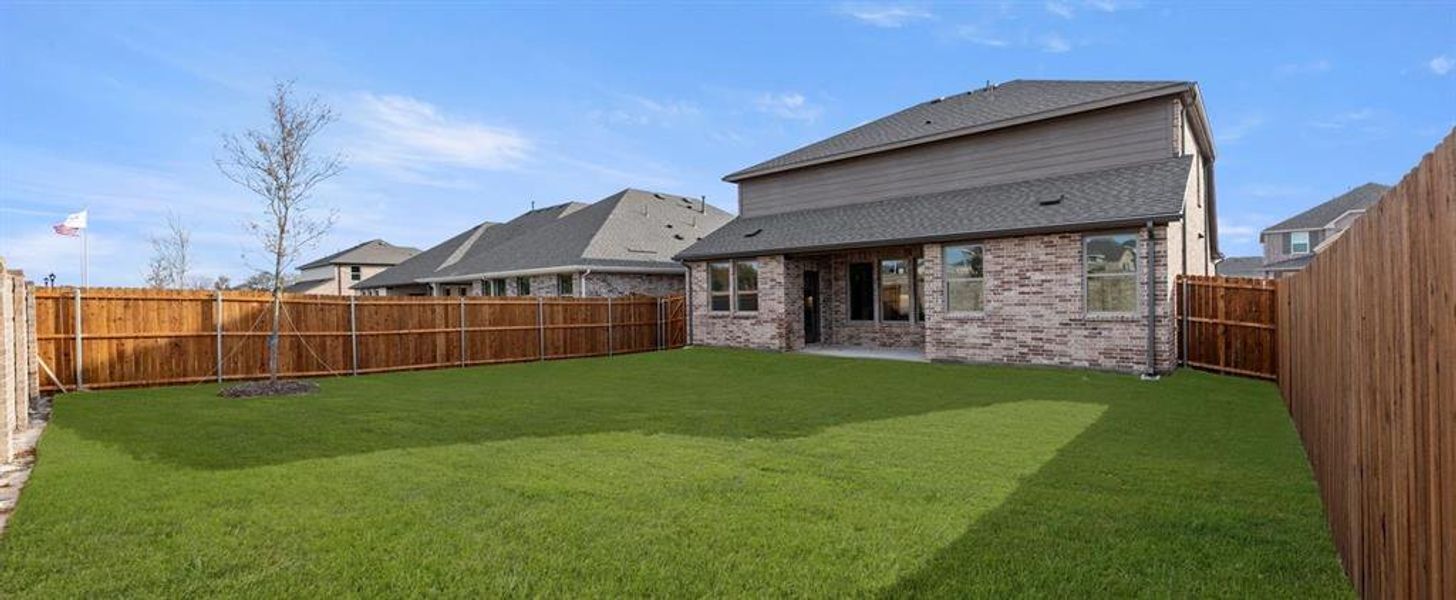 Rear Exterior Design