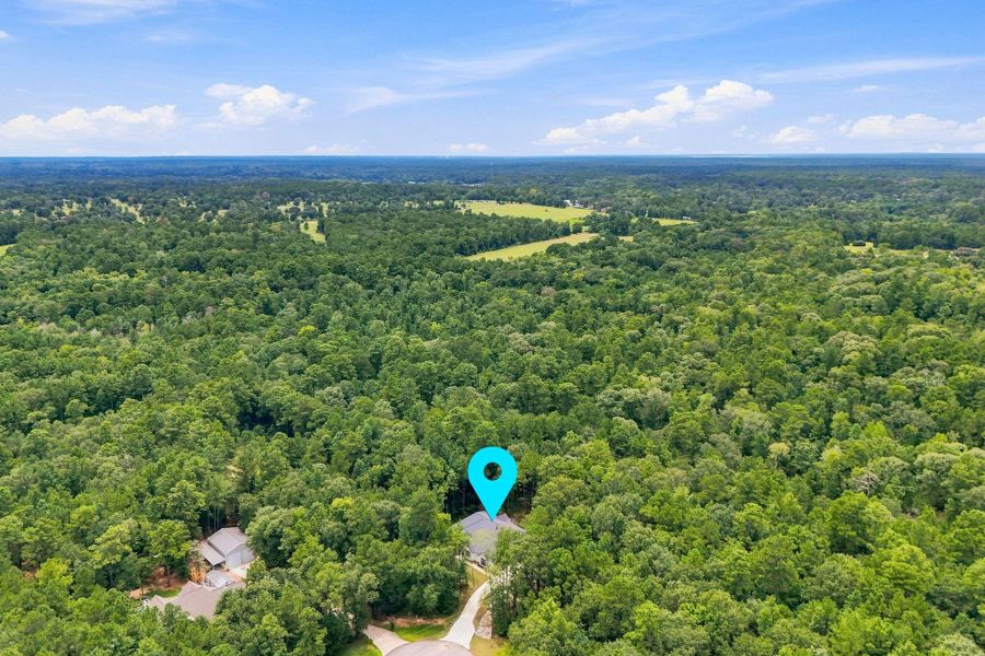 Natural landscape and outdoor views near  in New Waverly (Image 46).
