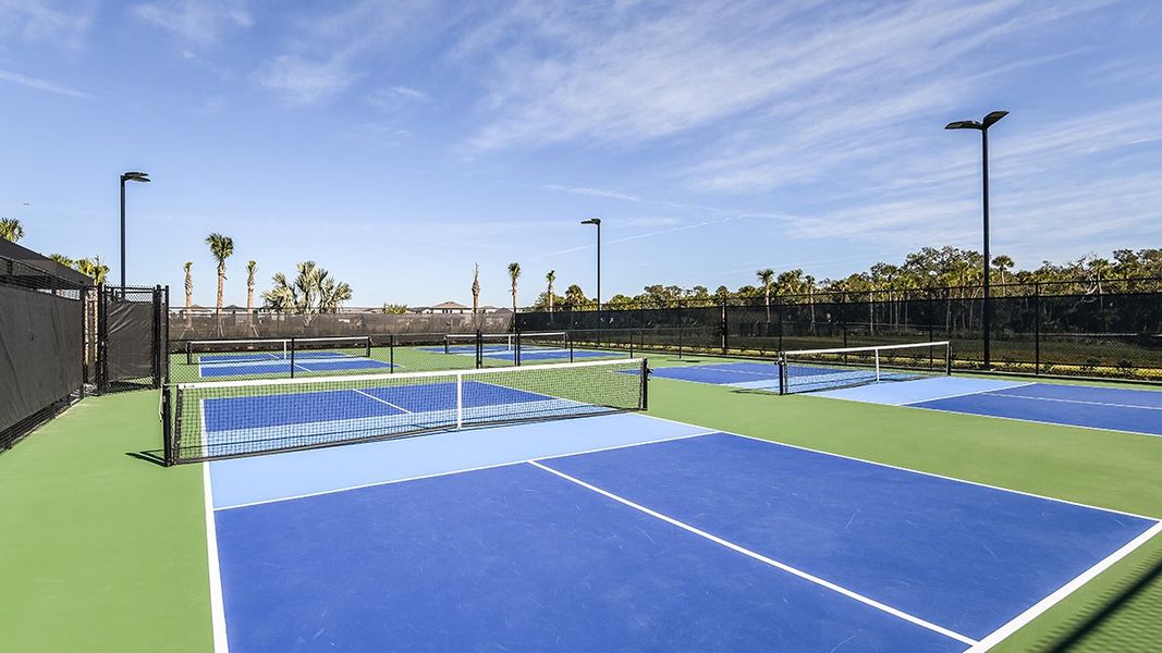 Community amenities in Skye Ranch Community Group Page, Sarasota (Image 58).