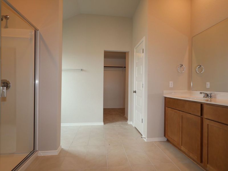 Owner's Bathroom