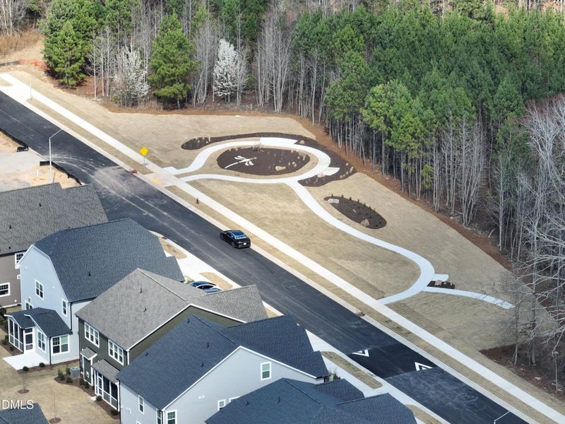 GLT Dragon Fly Garden