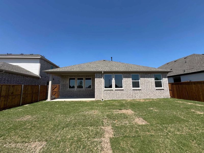 Rear Exterior Design Construction Progress