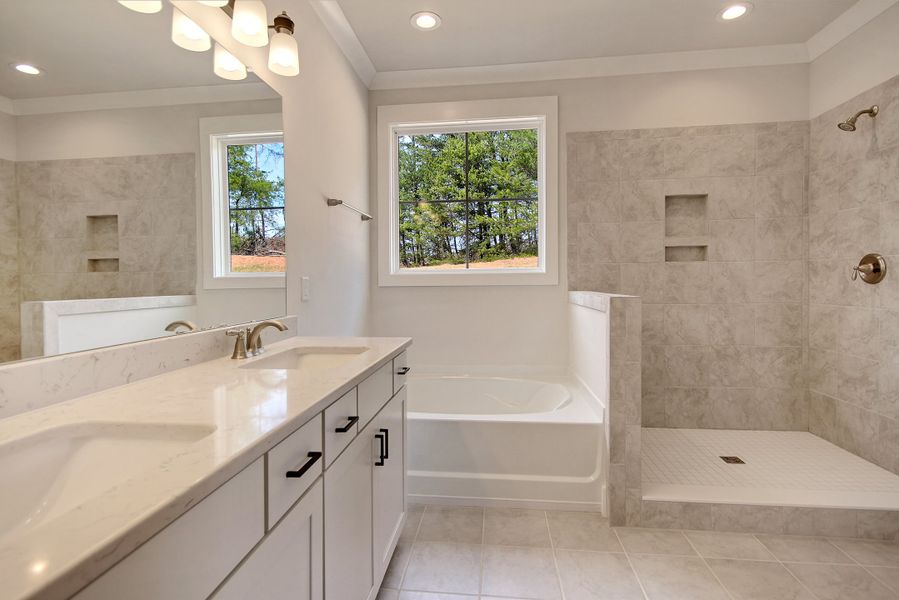 Reedy Master Bathroom