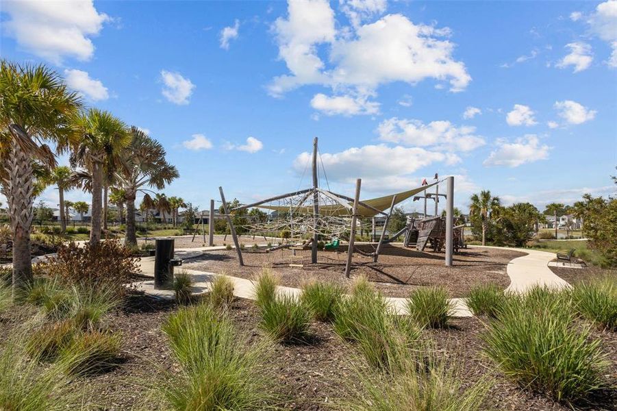 Community amenities in River Landing, Wesley Chapel (Image 39).