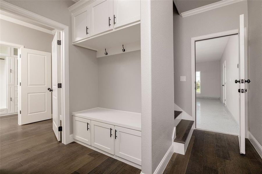 Mudroom featuring baseboards, crown molding, and dark wood-type flooring Mudroom featuring baseboards, crown molding, and dark wood-type flooring