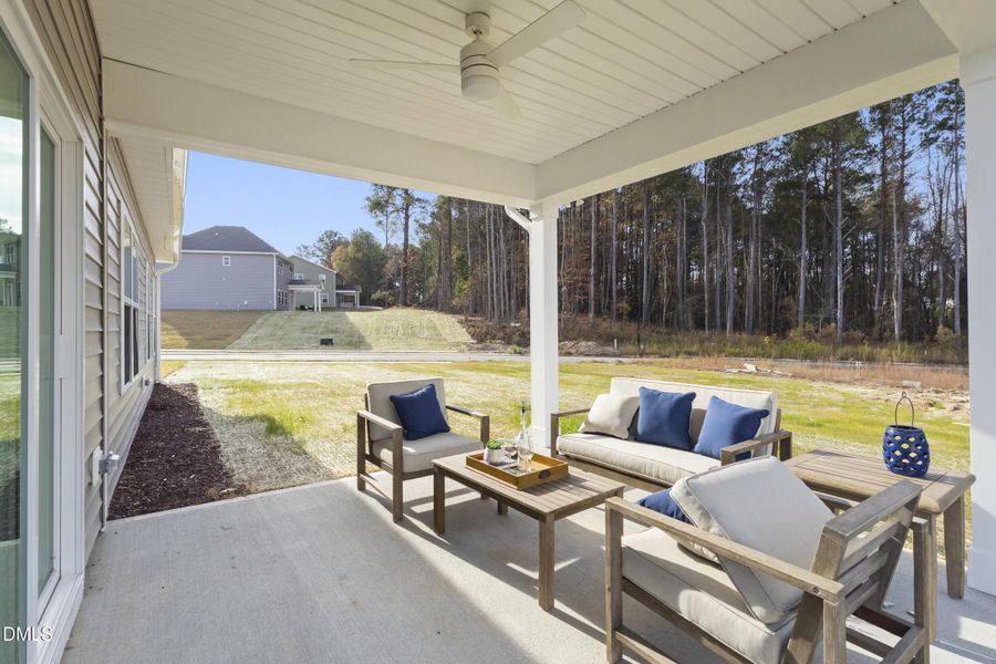 26_img_1906 26_img_1906