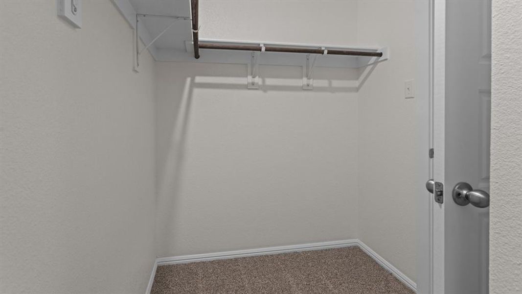 Spacious closet with carpet Spacious closet with carpet